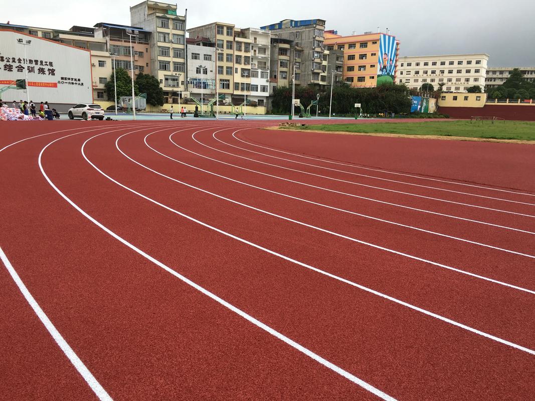 六安市人造草坪塑胶跑道材料 - 方案